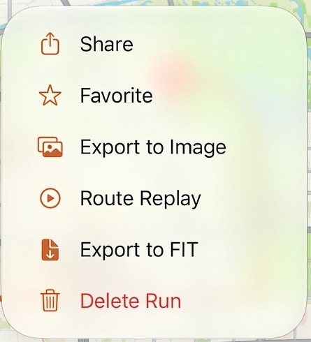 The menu on an imported run in Apex Run: Share, Favorite, Export to Image, Route Replay, Export to FIT and Delete Run, with no Reimport